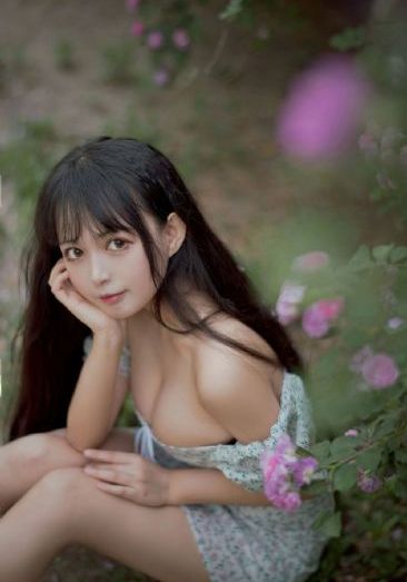 少年包青天1免费观看完整版