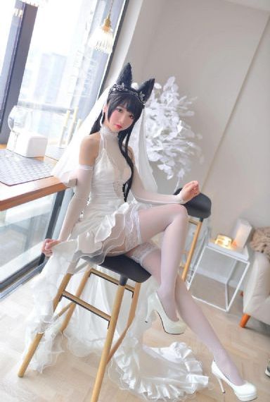 君子好逑