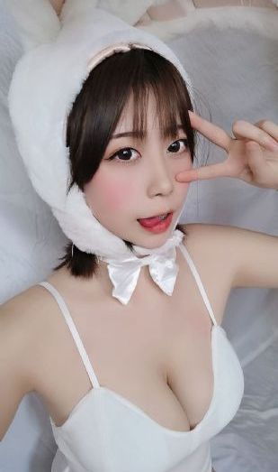 茶杯狐免费追剧在线看